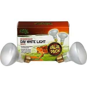  Zilla Day White Light Spot Lamp Value Pack