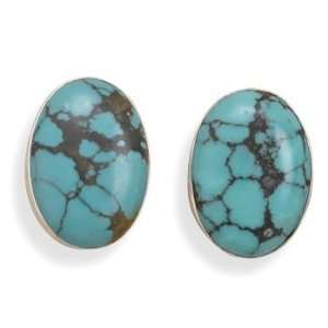  Turquoise Clip On Earrings Jewelry