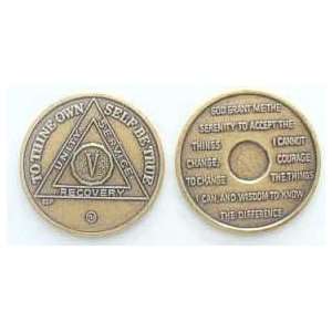 14 YEAR Bronze BSP   AA Recovery Medallion / Coin   Anniversary or 