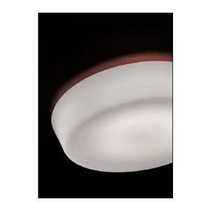  Ombra Ceiling Light