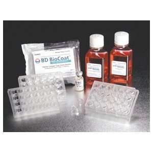 BD BioCoat HTS Caco 2 Assay System, 1 plate pack  