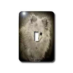  Milas Art Dogs   Pomeranian Portrait   Light Switch Covers 