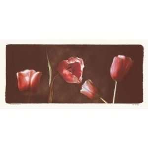  Illuminating Tulips I   Judy Mandolf 11x5