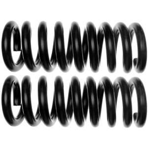  Raybestos 585 1342 Professional Grade Coil Spring Set 