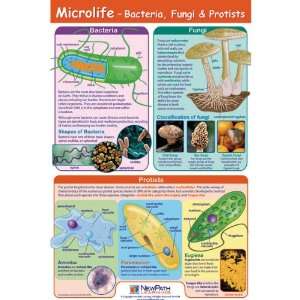 Nasco   Microlife Poster  Industrial & Scientific