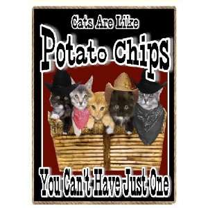 Funny Cats Country Western Gift You Can Never Have Just One 
