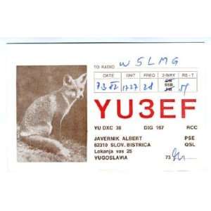  Yugoslavia QSL Card Fox YU3EF 