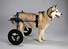 Handicapped Paralyzed Pet MADE IN USA 