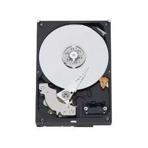   RE3 XL320M SATA 7200 RPM 3.5 3.5IN 3GBS (WD5002ABYSA1) Electronics