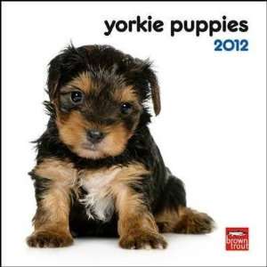  Yorkshire Terrier Puppies 2012 Small Wall Calendar Office 