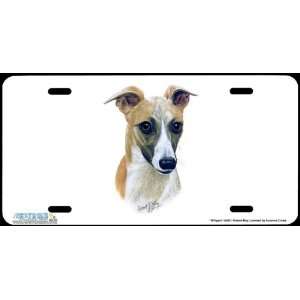 4295 Whippet Dog License Plate Car Auto Novelty Front Tag by Robert 