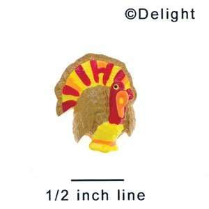  4325* tlf   Turkey Bright Mini   Flat Back Resin 