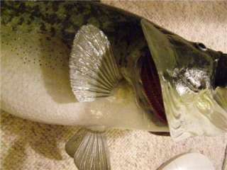 NEW XL 10 lb 3 oz Largemouth BASS Fish Mount  