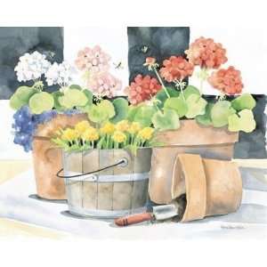  Geraniums & Bucket Of Marigolds Poster Print