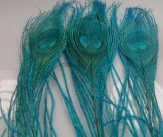 New 10Pcs sky blue Peacock Tail Feathers26 30cm z95  