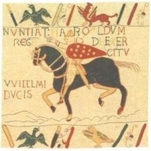  Bayeux William 20x20
