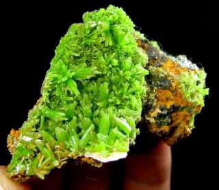 Green Pyromorphite Crystal Cluster Specimen DZ075  