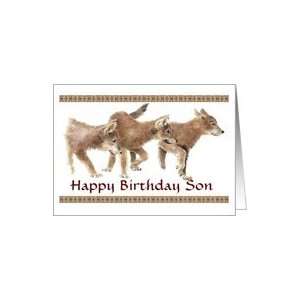    Happy Birthday Son General Blank Wolf Cubs Card Toys & Games