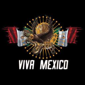 VIVA MEXICO T SHIRT MEXICAN FLAG & EAGLE S,M,L,XL,2x,3X  