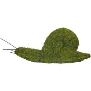 Snail 6 Mossed Topiary Frame