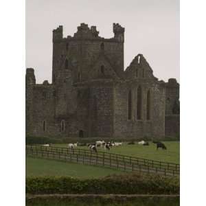 Dunbrody Abbey, Dumbrody, County Wexford, Leinster 