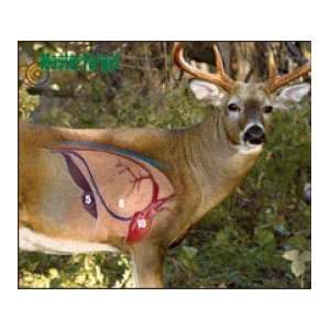  Deer Target