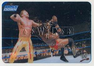 WWE Lamincards Collection 2006 Cards   German Edition   Very Rare 