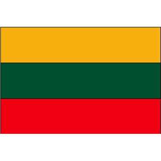  Lithuania Flag Polyester 3 ft. x 5 ft. Patio, Lawn 