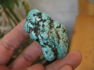 35g VAIN BLUE polished Turquoise Rough Nugget  