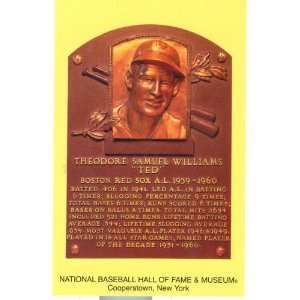  Ted Williams National Baseball Hall of Fame Postcard 