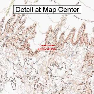  USGS Topographic Quadrangle Map   Cavett Lake, Texas 