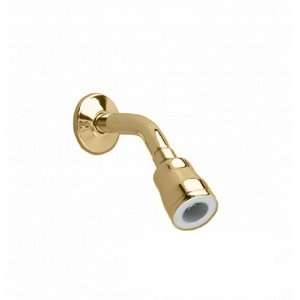   Standard 1660.731.099 Flowise Water Saving Showerhead, Polished Brass