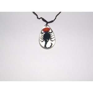  Clear Real Insect necklace   Black Scorpion with Lucky Red 