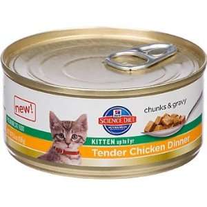 Hills Science Diet Tender Chicken Dinner Canned Kitten Food, Case of 