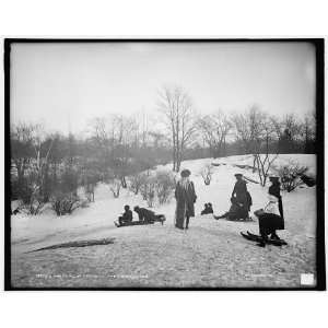 Coasting in Central Park,New York 