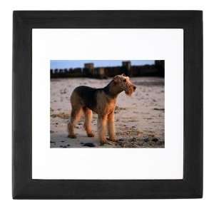  Airedale Terrier Photo Pets Keepsake Box by  