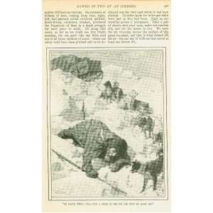  1900 Walter Wellman Sledging Towards North Pole 