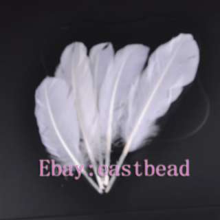 FREE SHIP 100pcs Beautiful and Exquisite Fashion Feather EF7720 200mm 