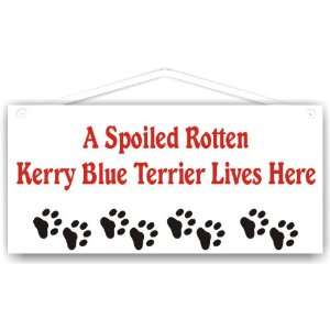 Spoiled Rotten Kerry Blue Terrier Lives Here