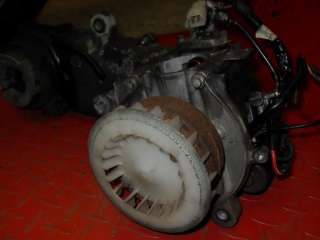 Honda Spree Engine Motor Parts 50cc   Moped Motion  