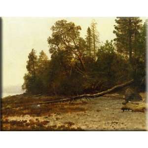The Fallen Tree 30x23 Streched Canvas Art by Bierstadt, Albert