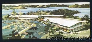 Long Aerial View Atwood Lake Lodge Dellroy Ohio Postcard  