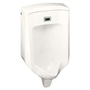  Bardon Touchless Urinal Finish Mexican Sand