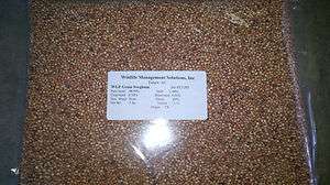 Grain Sorhgum Seeds WGF Deer Turkey Food Plot 5 lbs.  