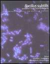 Bacillus Subtilis and Other Gram Positive Bacteria Biochemistry 
