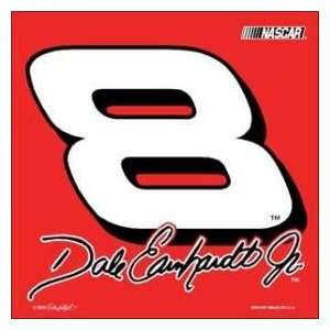 Dale Earnhardt Jr. #8 Car Flag