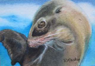 ACEO Original Watercolor, Sea Lion, Seal, Fish My Lips are Seald by 