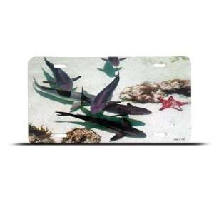 Fish Tropical Tropics Star Beach Ocean Airbrushed Metal License Plate 