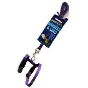  Ferret Lead and Harness Set Purple