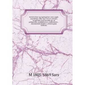   , . sammesteds fundne a (Norwegian Edition) M 1805 1869 Sars Books